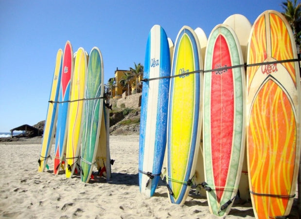 Surfboard / Rental