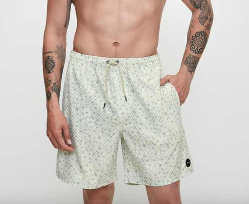 RVCA Barnes Elastic Short / Natural