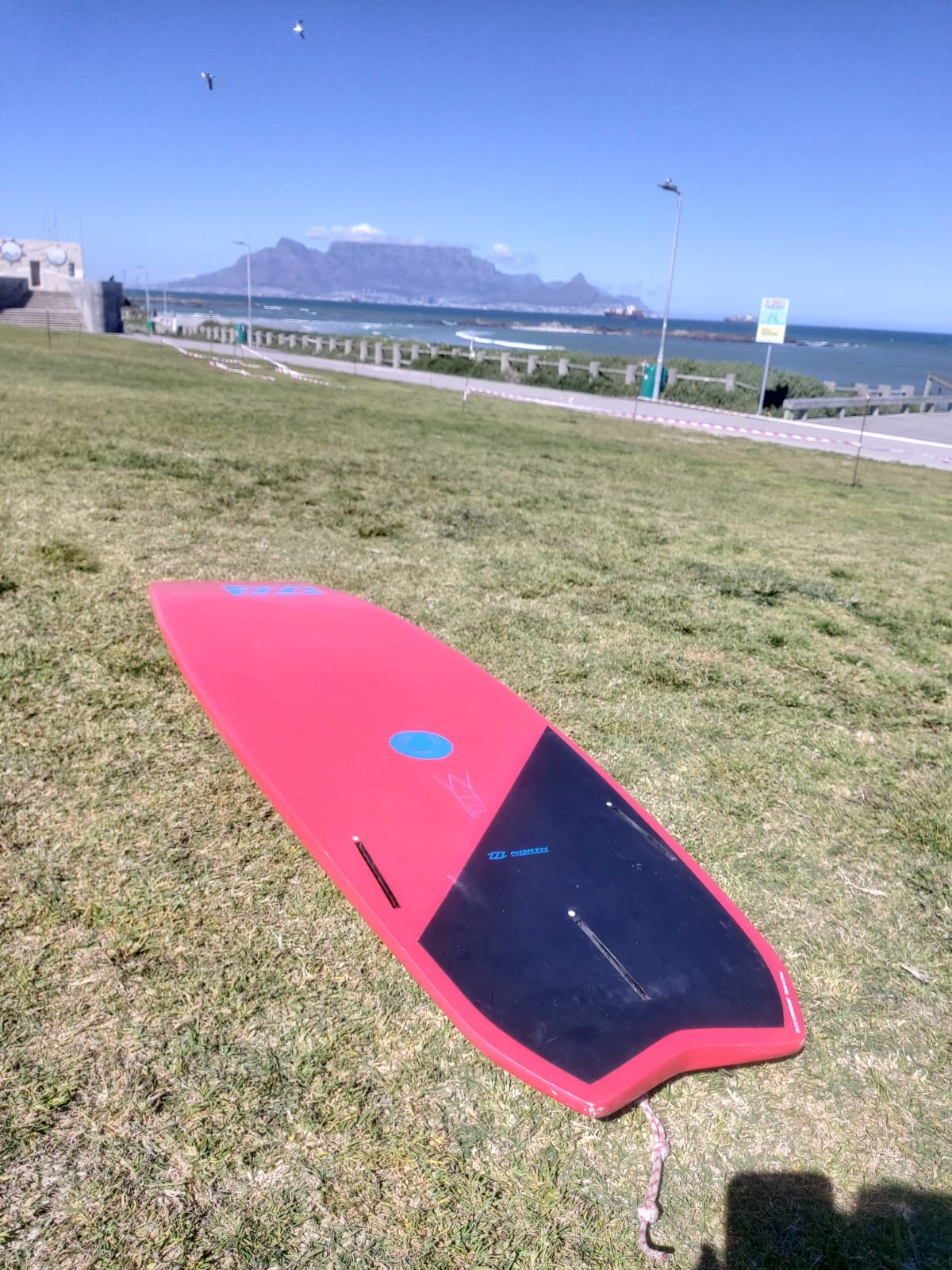 North 2015 Whip Thruster / 5'6